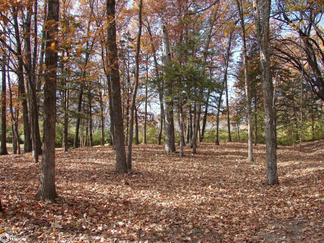 LOT 3 S HOAGLIN DRIVE, MOUNT PLEASANT, IA 52641, photo 1 of 3